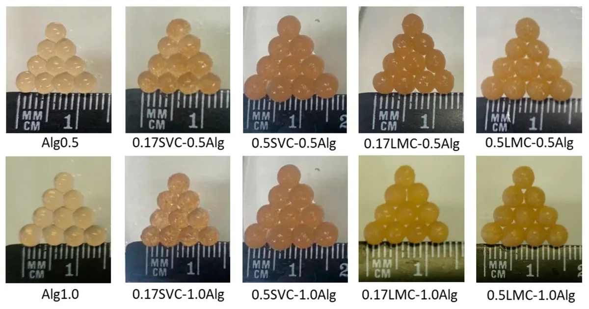 hydrogel beads
