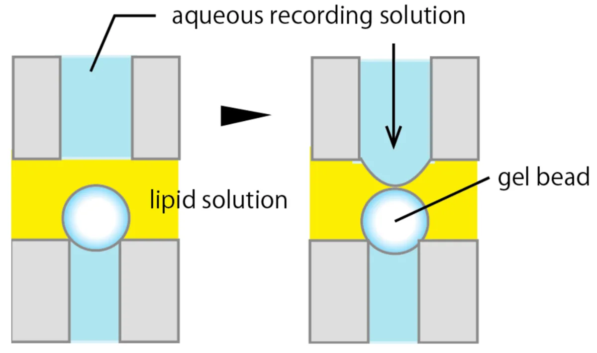 jam clearing rod