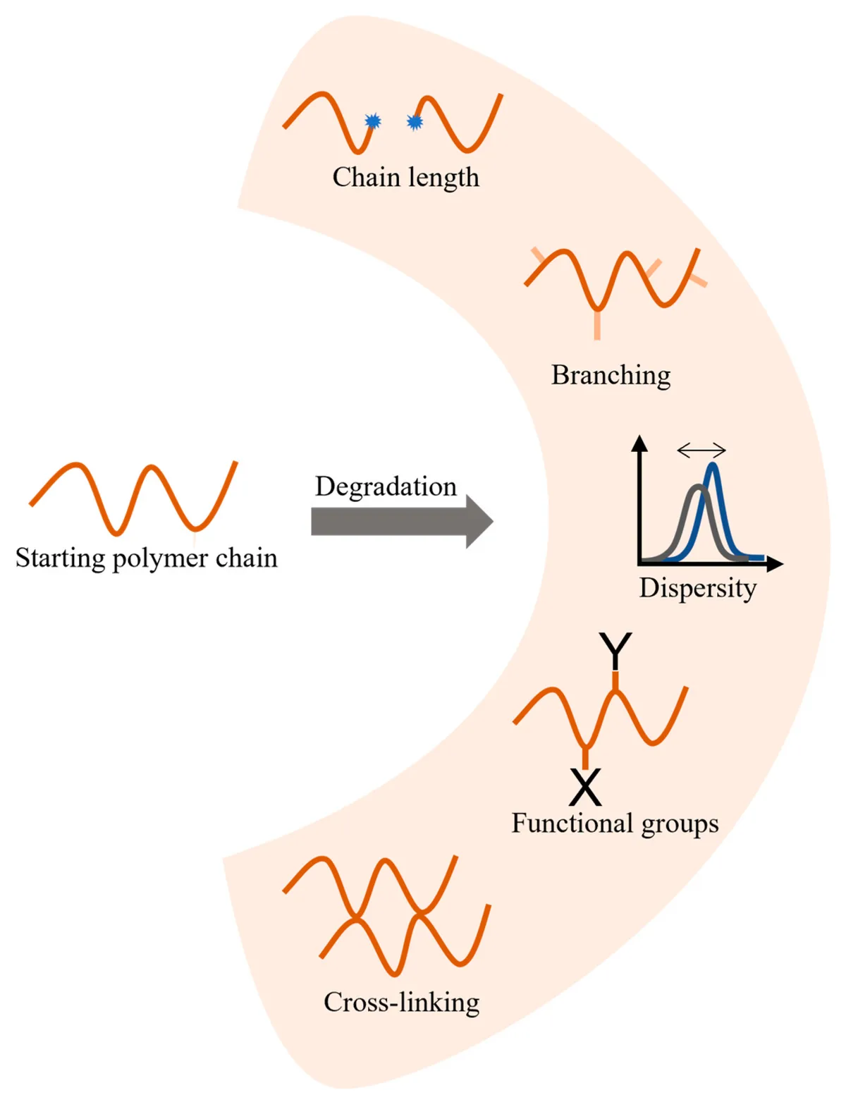 superabsorbent polymers