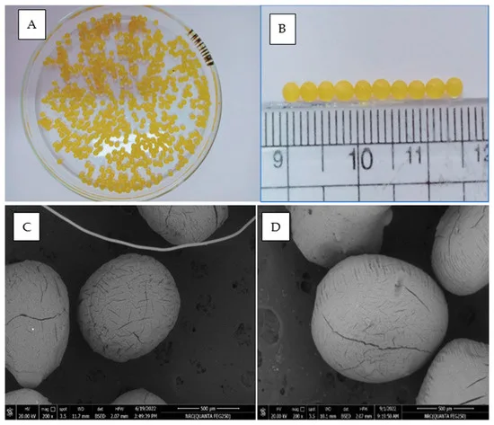 water-absorbing polymer beads